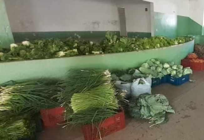 Secretaria de Agricultura em parceria com Secretaria do  Estado da Agricultura e Abastecimento distribui alimentos da Agricultura familiar.