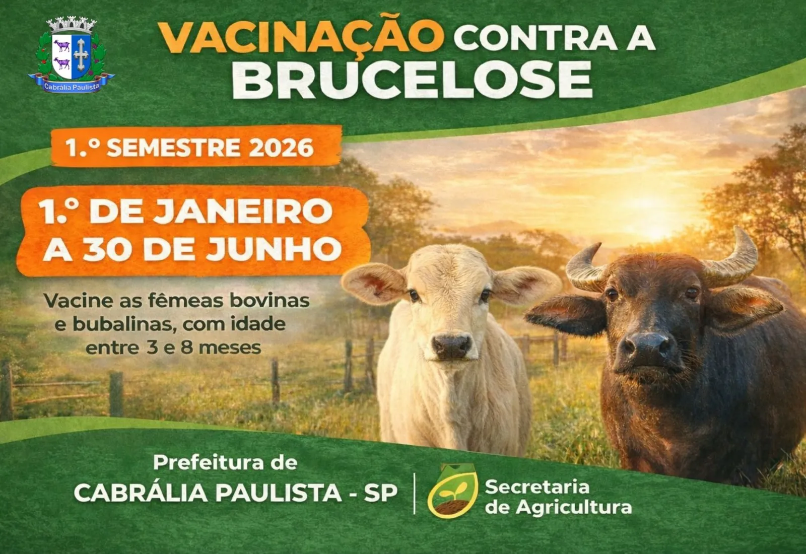 Vacinação contra a Brucelose – 1º semestre de 2026